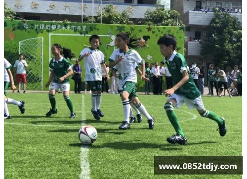 韩国足球联赛：球场内外的精彩瞬间