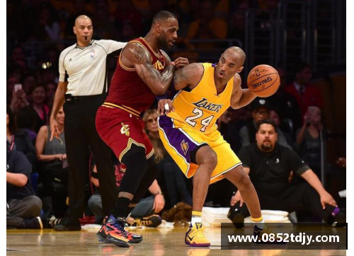 詹黑与詹粉的对决：NBA球迷内斗的背后真相