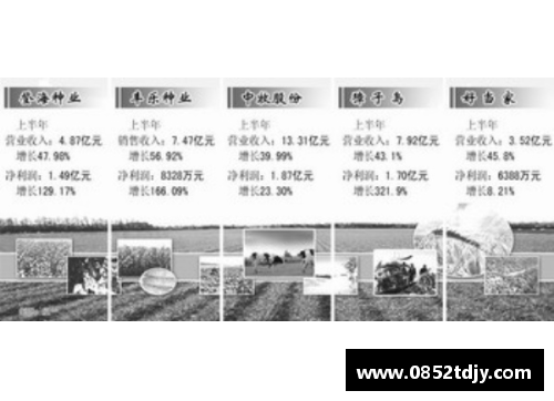 沃尔夫斯堡与法兰克福互交白卷分场平收主场优势不显