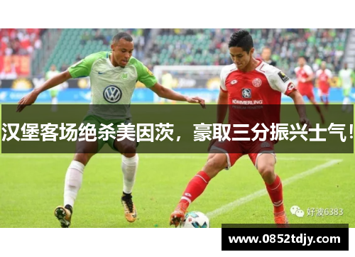 汉堡客场绝杀美因茨，豪取三分振兴士气！