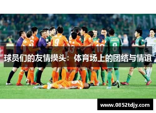 球员们的友情摸头：体育场上的团结与情谊
