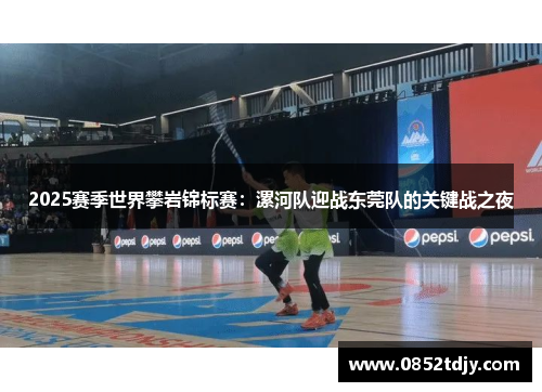 2025赛季世界攀岩锦标赛：漯河队迎战东莞队的关键战之夜